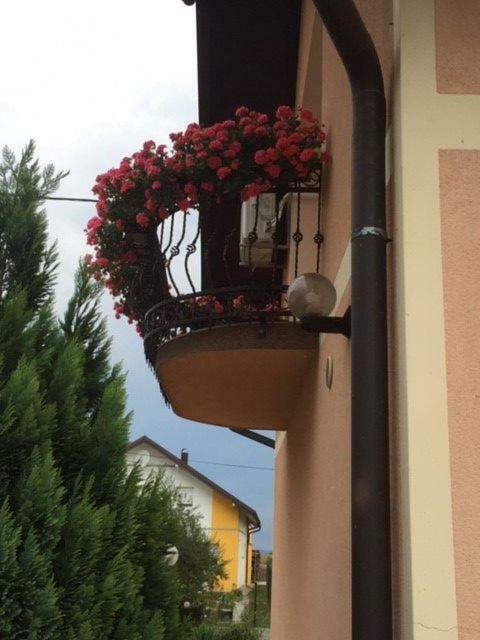 Apartman Hubertus 5* Vagovina Exterior photo